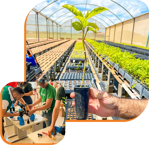 Sustentabilidade